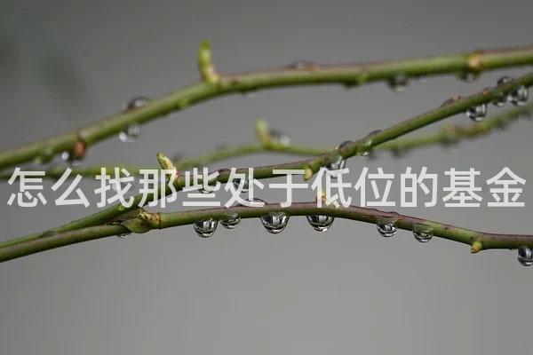 怎么找那些处于低位的基金