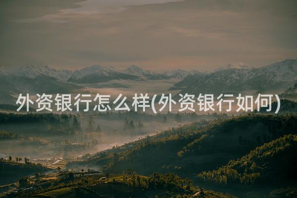 外资银行怎么样(外资银行如何)