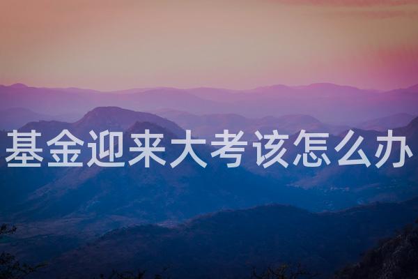 基金迎来大考该怎么办