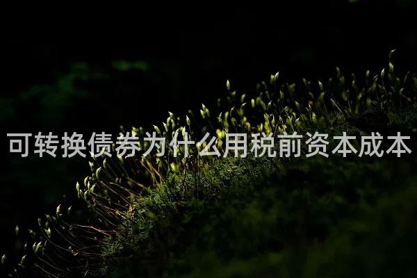可转换债券为什么用税前资本成本