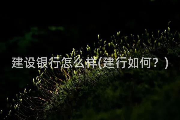 建设银行怎么样(建行如何？)