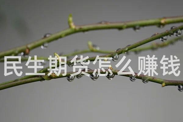 民生期货怎么赚钱