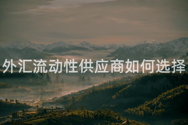外汇流动性供应商如何选择