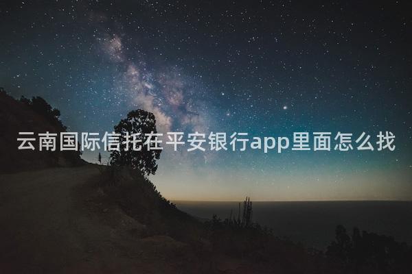 云南国际信托在平安银行app里面怎么找
